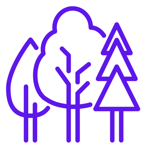 Icon von verschiedenen Baumarten