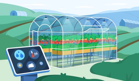 Bepflanztes Gewächshaus mit smarter Monitorüberwachung im Vordergrund