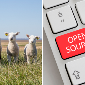 Bild zeigt zwei Ausschnitte: Eins mit Schafen auf einer Weide, ein anderes eine Tastatur, auf einer Taste steht Open Source.